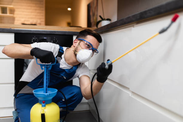 Best Emergency Pest Control  in Jersey City, NJ