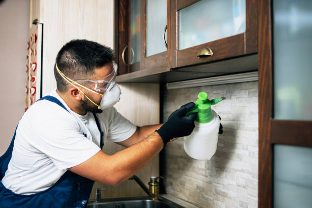 Best Affordable Pest Control Services  in Jersey City, NJ