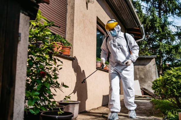 Best Local Pest Control Services  in Jersey City, NJ