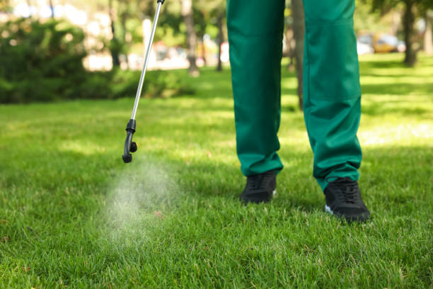 Best Affordable Pest Control Services  in Jersey City, NJ