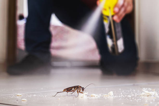 Best Pest Prevention Services  in Jersey City, NJ